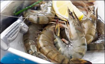 Nom à consonnance hispanique, attribué aux crevettes que l'on retrouve dans la paella !