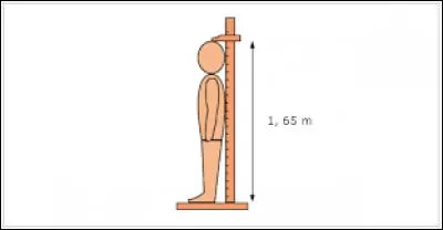 Combien mesure-t-il ?