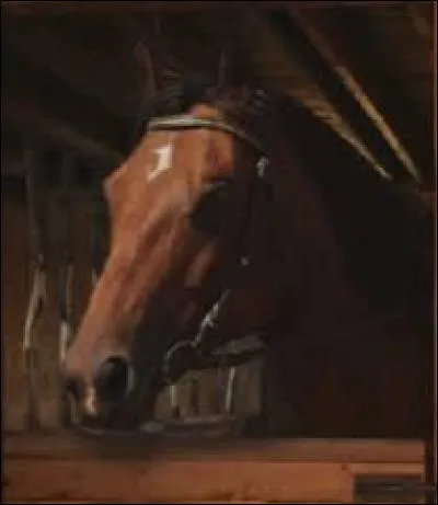 Comment s'appelle le cheval qui refusait de se faire seller et qui appartenait à Lisa Stillman ?