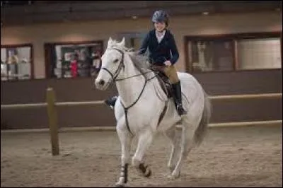 Phoenix est le cheval de...