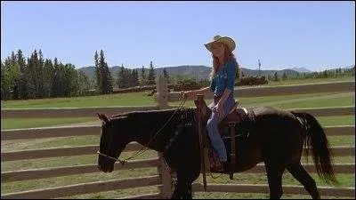 Quel est ce cheval de voltige ?