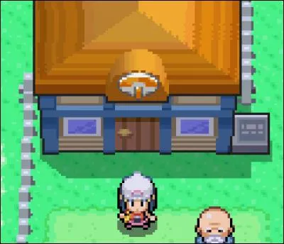 Dans Pokémon Diamant/Perle/Platine, dans quelle ville est située la pension ?