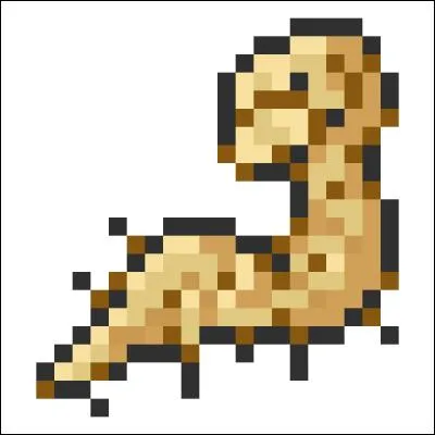 Dans Pokémon Diamant/Perle/Platine, dans quelle ville peut-on acheter des Racinergies ?