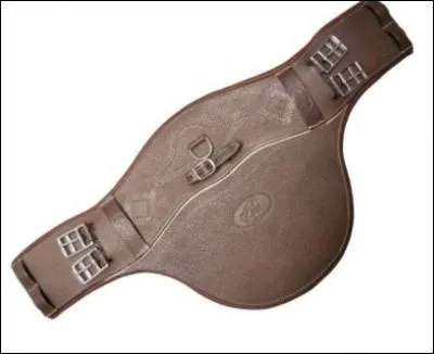 À quoi sert la bavette ?