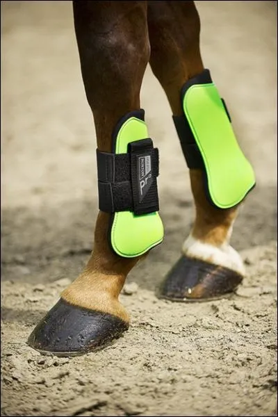 À quoi servent les guêtres ?