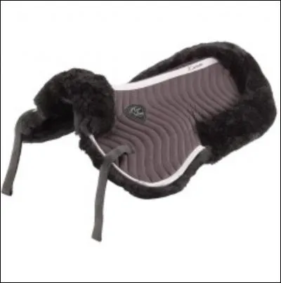 L'amortisseur est-il obligatoire ?