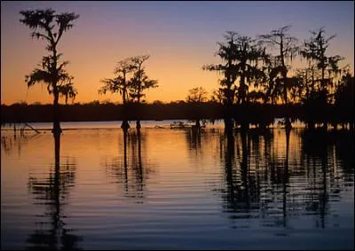 Qu'appelle-t-on un "char" en Lousiane ?