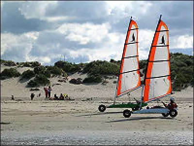 Que voyez-vous sur l'image ?