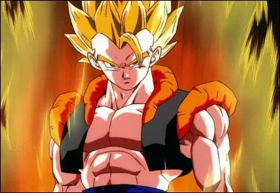 Comment s'appelle cette fusion ?(attention pas le nom de ce personnage)