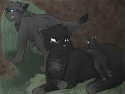 Qui est son petit ? Qui est la mère ?