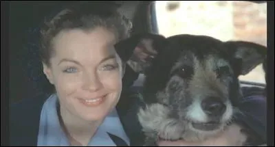 Dans "Le vieux fusil", vous souvenez-vous du nom que donne Romy Schneider au chien qu'elle a trouvé, bien qu'il ait un tout petit rôle dans ce film émouvant et dramatique ?