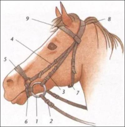 Comment s'appellent les numéros 3/4/6/9 ?