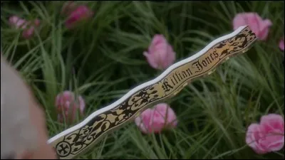 Pourquoi Crochet est-il devenu le Ténébreux ?