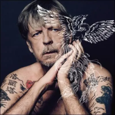 Lequel de ces chanteurs a intitulé son 9e album "Marchand de cailloux" ?