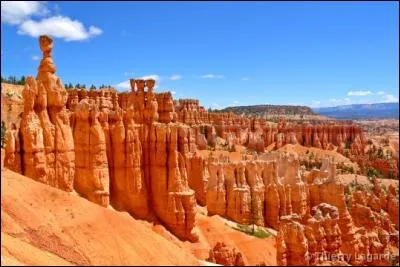 Où est née Selena Gomez ?