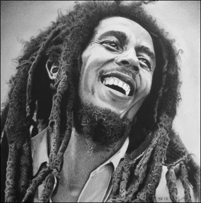 Où le célèbre Bob Marley est-il né ?