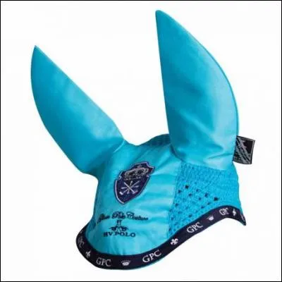 Quel est cet accessoire ?