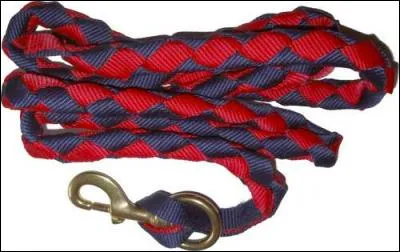 Quel est cet accessoire ?