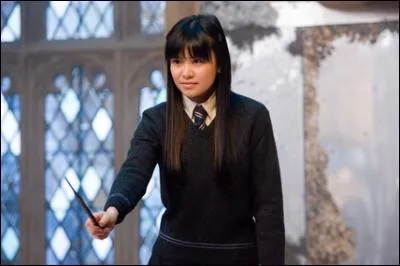 Pourquoi Harry ne veut-il plus parler à Cho ?