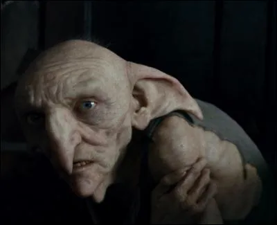 Qu'offre Kreattur à Harry comme cadeau de Noël ?