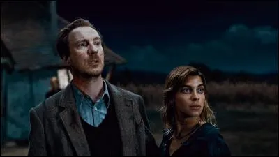 À quel tome Harry découvre-t-il que Remus et Nymphadora s'aiment ?