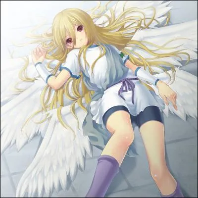 Comment s'appelle-t-il ?