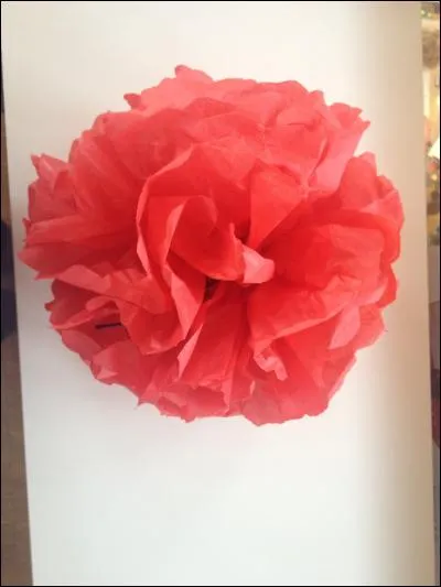 Quel papier utilisons-nous pour faire les boules comme ceci ?