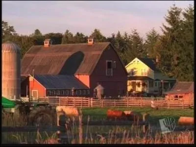 La série a été tournée ...