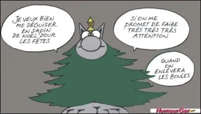 SVT : Lequel de ces conifères perd ses feuilles en hiver ?