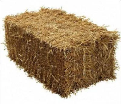 Combien de fois par jour doit-on donner à manger au cheval ?