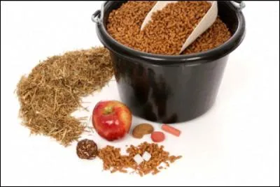 Que mange le cheval ?