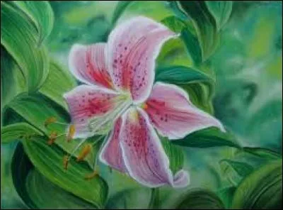 Aux échecs, coup qui entraîne la nullité de la partie :