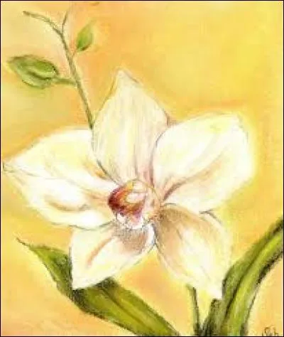 Au sens figuré, personne sotte :