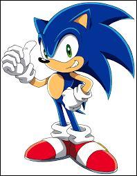 Quiz Sonic