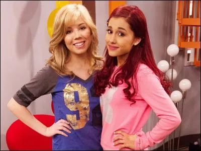 Quel est le métier de Sam & Cat ?
