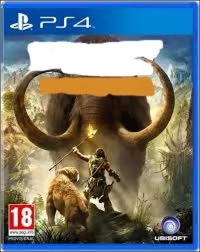 Quel est le titre de ce jeu ?