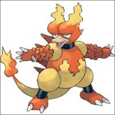 Quel est ce Pokémon ?