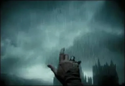 Avec quel sort Albus Dumbledore ralentit-il la chute de Harry ?