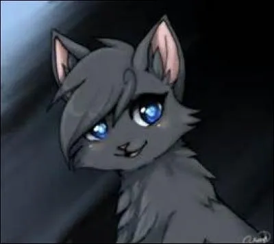 Quels sont les sentiments d'Étoile de Feu envers Museau Cendré ?