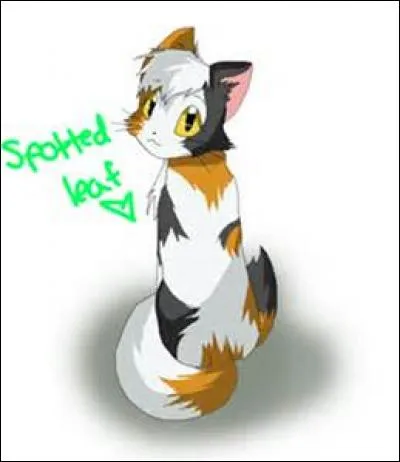 Et ceux de Petite Feuille envers Étoile de Feu sont :