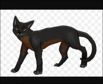 Celui-ci est facile !