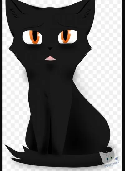 Tu ne trouveras pas !