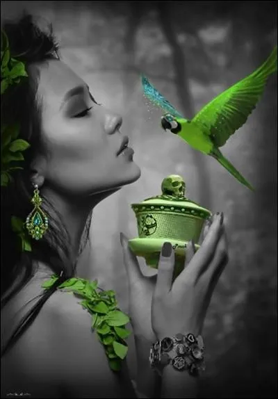 Que vous inspire les paroles "...avec de l'eau de pluie et des parfums d'encens, elle voyage de temps en temps" ?