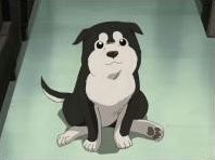 Quiz Fullmetal alchemist