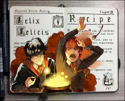 Que deviennent Harry et Ron après la bataille ?