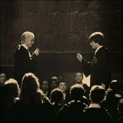 Qu'apprend Harry (HP2) durant le duel des sorciers ?