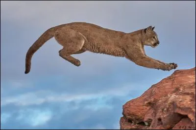 Jour pendant lequel la religion ordonnait la cessation du travail, chez les Romains !