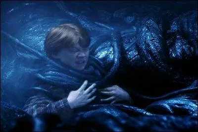 Quel est le sortilège qu'Hermione utilise dans le chapitre 2 pour faire fuir les plantes emprisonnant Ronald ?