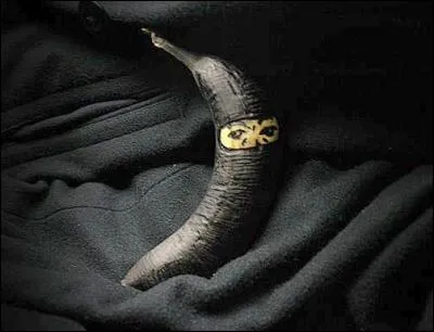 Quel est ce fruit représenté en ninja ?