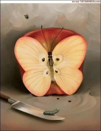 Que pouvez-vous voir à part une pomme ?